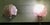 Art Deco French Pink Glass Shell Wall Lights, 1980, Set of 2 For Sale - Image 3 of 8