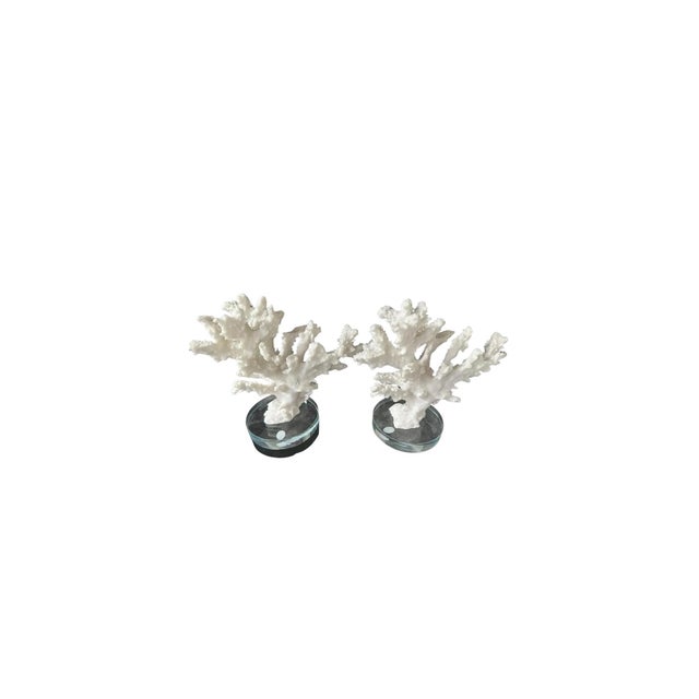 1980s Set of Two Faux White Coral Vintage Sculptures Decor Pieces on Clear Plexiglass For Sale - Image 5 of 8