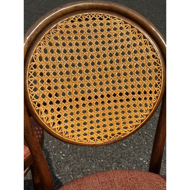 1950s 1950s Radomsko Cane Back Bentwood Dining Arm Chairs Set of Four For Sale - Image 5 of 12