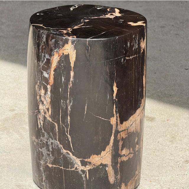 Small Side Table in Black Petrified Wood with Striates and Beige Lower Side For Sale - Image 10 of 18