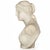 Grand Tour Marble Sculpture Statue Bust of Venus De Milo After the Antique For Sale - Image 6 of 15