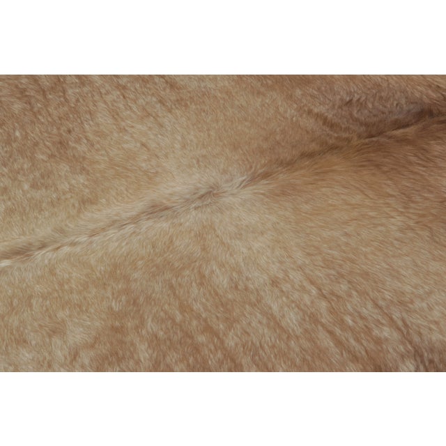 Animal Skin Rug & Kilim’s Contemporary Cowhide Rug With Striking Beige & Brown Patterns For Sale - Image 7 of 9