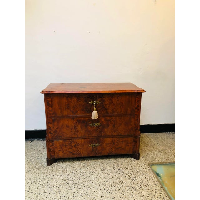Wilhelminian Dresser, 1870s For Sale - Image 11 of 11