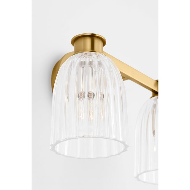 Asalea Double Sconce in Hand-Rubbed Antique Brass with Clear Glass Designer: AERIN Finish: Hand-Rubbed Antique Brass...