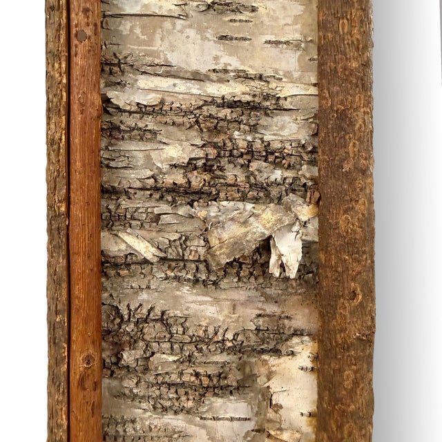 Wood Vintage American Birch Bark Framed Mirror For Sale - Image 7 of 12