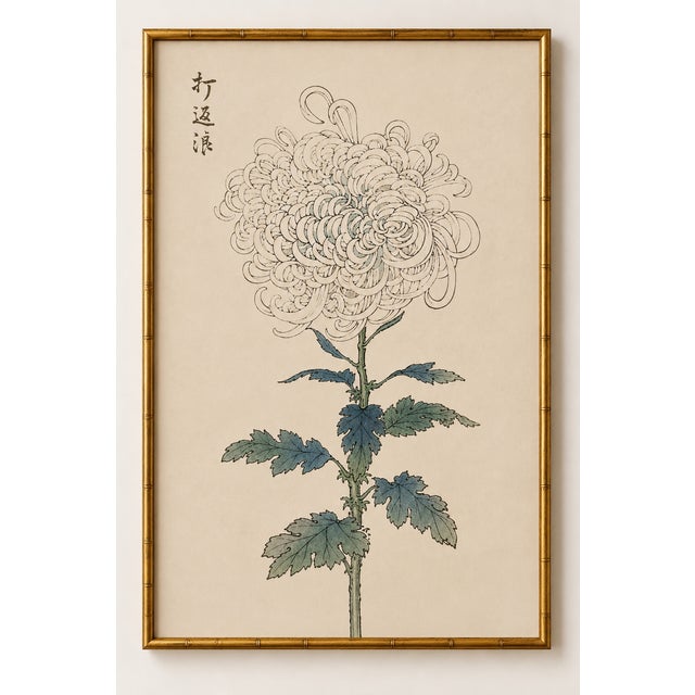 White Mum by Hasegawa, Vintage Japanese Botanical Art Print, 8" X 12" For Sale In Buffalo - Image 6 of 8