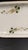 Victorian Late 19th Century CFH Charles Field Haviland Limoges Tray Floral Gold Gilt Victorian Hand Painted For Sale - Image 3 of 12