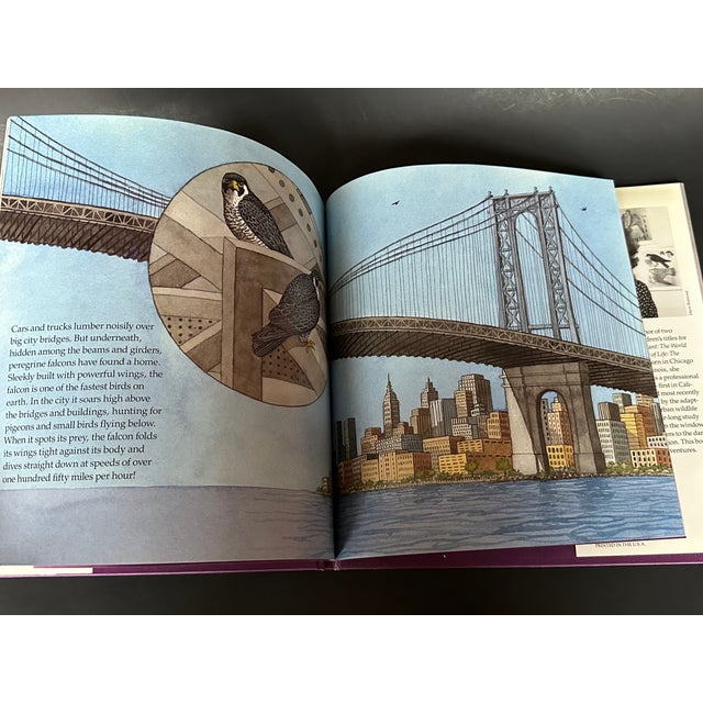 Paper New York City Urban Roosts Vintage Children's Book For Sale - Image 7 of 11