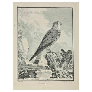 Madeleine Rousselet, La Cresserelle, Etching, 1771 For Sale