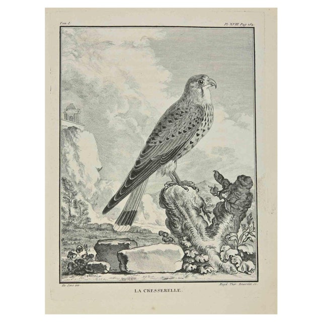 Madeleine Rousselet, La Cresserelle, Etching, 1771 For Sale