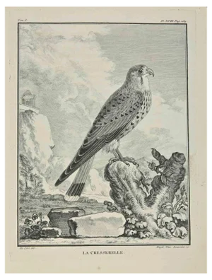 Madeleine Rousselet, La Cresserelle, Etching, 1771