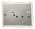 1972 Vintage Birds Photograph For Sale