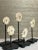 19th Century Antique Oceanic Mounted Shell Currency- a Set of 5 For Sale - Image 5 of 7