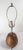 Wood Mid 20th Century Scandinavian Danish Modern Boudoir Table Lamp in Teak For Sale - Image 7 of 11
