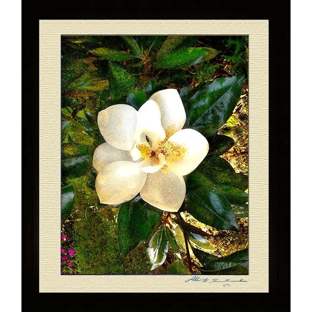 Realism The Smiling Magnolia For Sale - Image 3 of 3
