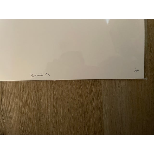 Lot of 3 New Orginal Color Matted Unique Photographs Signed by Robin Rebeck For Sale - Image 12 of 15