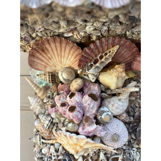 Wood Seashell Encrusted Fireplace Surround and Mantel For Sale - Image 7 of 18