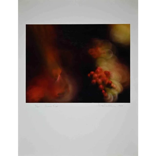 Exhibition print from 1988 by Miller Null is a vintage Color paper print applied on signed and numered cardboard....