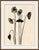 Susan Hable is a renowned artist and designer based in Athens, Georgia, known for her bold and colorful works. Co-founder...