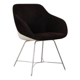 Turtle Armchair in Brown Black Fabric from Walter Knoll / Wilhelm Knoll For Sale