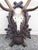 Rustic Vintage Black Forest Mounted Deer Antlers For Sale - Image 3 of 16