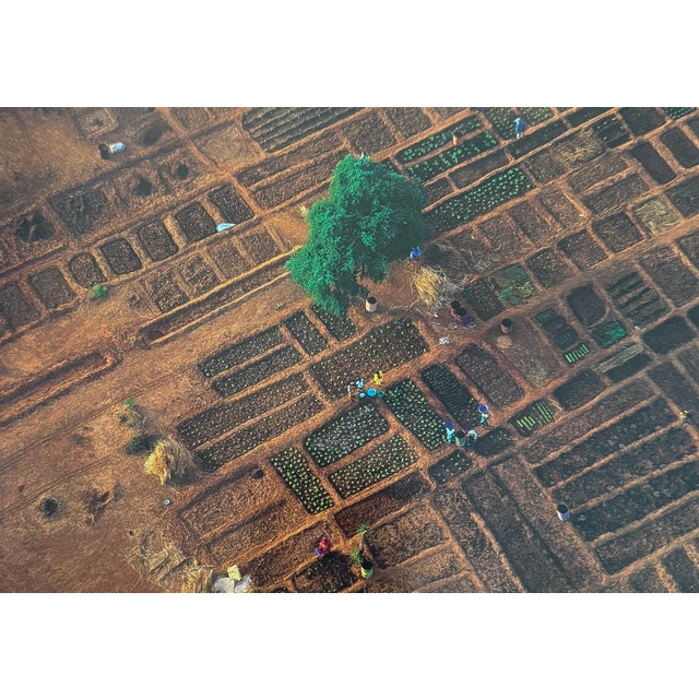 Paper Earth From Above: 365 Days by Yann Arthus-Bertrand For Sale - Image 7 of 8