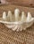 Beautiful coastal large clam shell decorative bowl in earth tone colors perfect for a coffee table. Please zoom in on all...