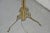 Rare Victorian Style 4 Font Kerosene Brass Parlor Floor Lamp (Electrified) For Sale - Image 9 of 12