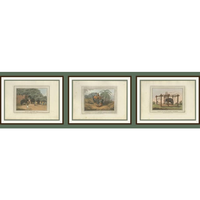 Paper Elephant and Hunting Engravings, 1813, Paper, Set of 3 For Sale - Image 7 of 9