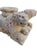 Beige Marble Base Depicting Lions with Joined Bodies, 18th Century, Set of 2 For Sale - Image 8 of 10