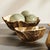 Early 21st Century Ostra Decorative Bowls, Set Of 2 For Sale - Image 5 of 5