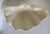 Contemporary 1979 Pair of Signed Studio Pottery Shell Form Ceramic Bowls Catchalls For Sale - Image 3 of 12