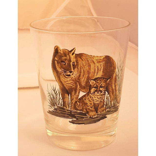 Brown Vintage Wild Animals Barware GlassesNorth American For Sale - Image 8 of 11
