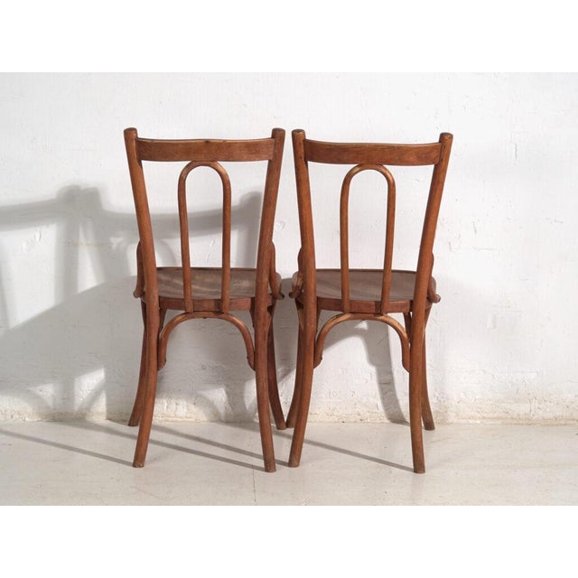 Antique Bentwood Chairs, Central Europe, 1900s, Set of 6 For Sale - Image 9 of 16