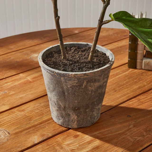 Realism Fiddle Leaf Fig Potted 43" For Sale - Image 3 of 6