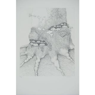 Gochka Charewicz, Tronc et racines, Lithograph For Sale