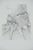 Gochka Charewicz, Tronc et racines, Lithograph For Sale