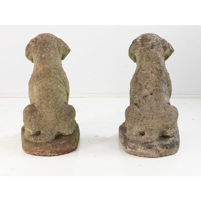 Pair of Composite Stone Boxer Dog Garden Statues, England 1960s For Sale In New York - Image 6 of 14