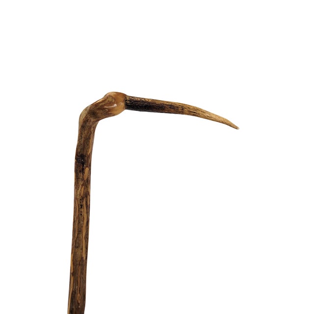 Ironwood Walking Stick For Sale In West Palm - Image 6 of 12
