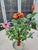 Green Vintage Asian Glass Arrangement For Sale - Image 8 of 11