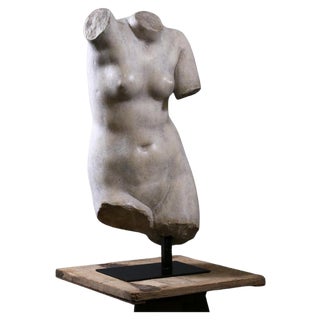 Bust of Venus the Goddess of Love, 20th Century, Composite Material For Sale