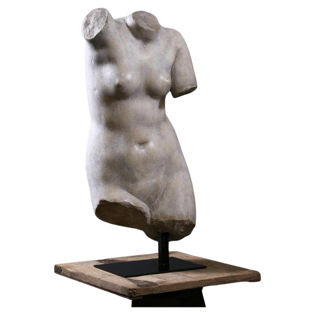 Bust of Venus the Goddess of Love, 20th Century, Composite Material For Sale