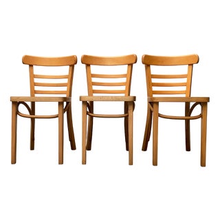 Mid-Century German Bentwood Chairs by ZPM Radomsko for Mobilair, 1950s, Set of 3 For Sale