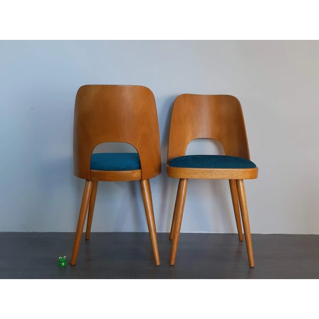 Blue Fabric & Beech Chairs by Oswald Haerdtl for TON, Set of 4 For Sale - Image 10 of 18