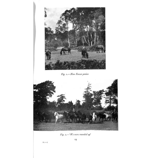 Paper "Holly: The Education of a Pony" 1949 Wynmalen, Julia (Inscribed) For Sale - Image 7 of 10