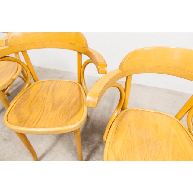 Bistro Armchairs, 1960s, Set of 4 For Sale - Image 11 of 18