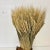 Ornamental & Decorative Materials Vintage Boho Chic Rustic Thanksgiving Natural Wheat Sheaf Decorative Object Holiday Accent. For Sale - Image 7 of 11