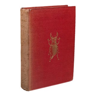 Antique Reference Book, the Outdoor World, English, Natural Interest, George V For Sale