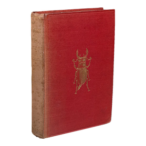 Antique Reference Book, the Outdoor World, English, Natural Interest, George V