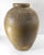 Ceramic Early 20th Century South East Asian or Chinese Olive Green Glazed Martaban Jar For Sale - Image 7 of 13